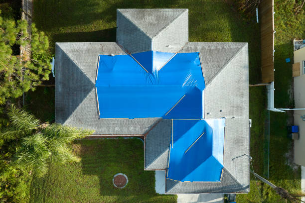 Best Roof Maintenance and Cleaning  in Stokesdale, NC